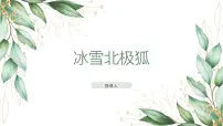 学前教育大班《冰雪北极狐》课件