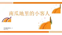 学前教育大班《南瓜地里的小客人》课件