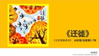 学前教育大班《迁徙》课件