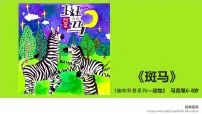 学前教育大班《斑马》课件