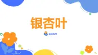学前教育大班《银杏叶》课件