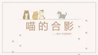 学前教育大班《喵的合影》课件