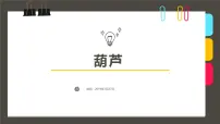 学前教育大班《葫芦》课件