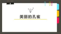 学前教育大班《美丽的孔雀》课件