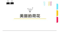 学前教育大班《荷花》课件