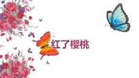 学前教育大班《红了樱桃》课件