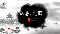 学前教育大班《莲藕》课件
