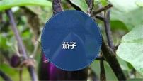 学前教育大班《茄子》课件