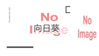 学前教育大班《向日葵》课件