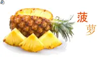 学前教育大班《菠萝》课件