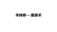 学前教育大班《羊咩咩》课件