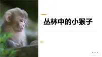 学前教育大班《丛林中的小猴子》课件
