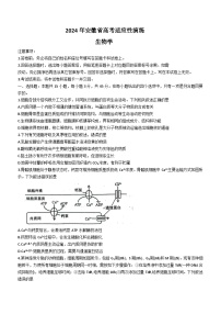 20241月普通高等学校招生全国统一考试适应性测试（九省联考）生物试题（适用地区：安徽）无答案