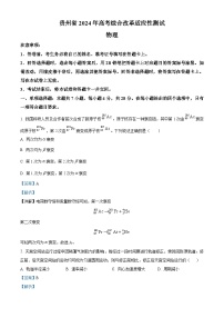 20241月普通高等学校招生全国统一考试适应性测试（九省联考）物理试题（适用地区：贵州）含解析