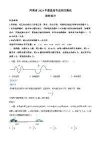 20241月普通高等学校招生全国统一考试适应性测试（九省联考）物理试题（适用地区：河南）含解析