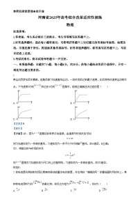 20251月河南省普通高等学校招生考试适应性测试（八省联考）物理试题含解析