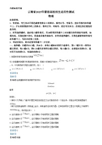 20251月云南省普通高等学校招生考试适应性测试（八省联考）物理试题含解析