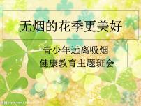 班会课件推荐-无烟的花季更美好主题班会课件