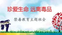 禁毒教育主题班会课件PPT+教学设计