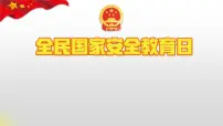 全民国家安全教育日-----主题班会课件