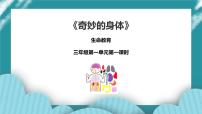 1《奇妙的身体》 课件+教案 生命教育3年级