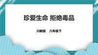 第13课《珍爱生命 拒绝毒品》 课件+教案 川教版生命生态安全六年级