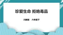 第13课《珍爱生命 拒绝毒品》 课件+教案 川教版生命生态安全六年级
