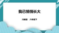 第16课《我已悄悄长大》 课件+教案 川教版生命生态安全六年级