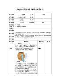 《生命因合作而精彩》主题班会教学设计