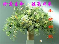 中小学安全教育主题班会课件《珍爱生命，健康成长》