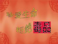 中小学安全教育主题班会课件《班会（禁毒专题）》