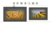 爱护粮食，珍惜粮食主题班会精品课件
