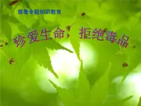 禁毒专题知识教育班会ppt