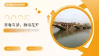 高中心理健康教育之早恋问题主题班会课件——青春有梦，静待花开——高中阶段理性看待情感