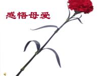 感恩母亲节主题班会：感恩母爱ppt