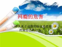 网瘾的危害——主题班会活动课件