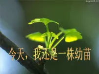 承担责任 勇于担当课件