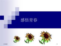 感悟青春课件