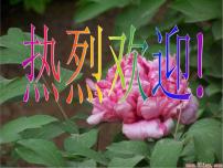 小学班会宽容课件