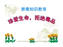 禁毒(—主题班会课件)