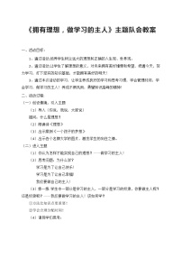 拥有理想，做学习的主人 主题队会教案