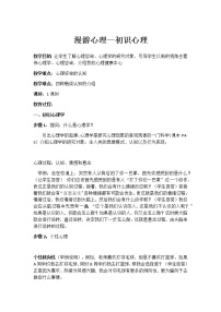 漫游心理初识心理教案