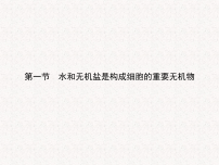 浙科版 (2019)必修1《分子与细胞》第一节 水和无机盐是构成细胞的重要无机物图文ppt课件