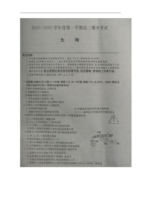 2020河北省枣强中学高二上学期期中考试生物试题扫描版含答案