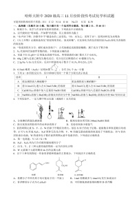 2023省哈尔滨师大附中高三上学期11月期中考试化学PDF版含答案（可编辑）