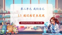小学科学教科版（2024）一年级上册（2024）5. 通过感官来发现公开课课件ppt