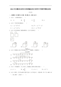 2024年安徽省合肥市百校联赢名校大联考中考数学模拟试卷（二）（含解析）