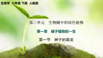 初中生物人教版（2024）七年级下册（2024）第一节 种子的萌发一等奖教学ppt课件