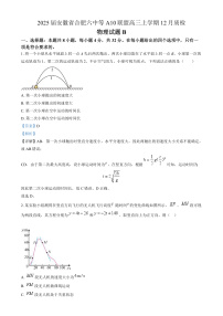2025届安徽省合肥六中等A10联盟高三上学期12月质检物理试题（B卷）  （解析版）
