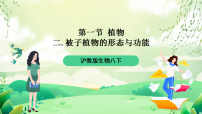 初中生物沪教版八年级下册 生命科学第一节 植物优秀ppt课件